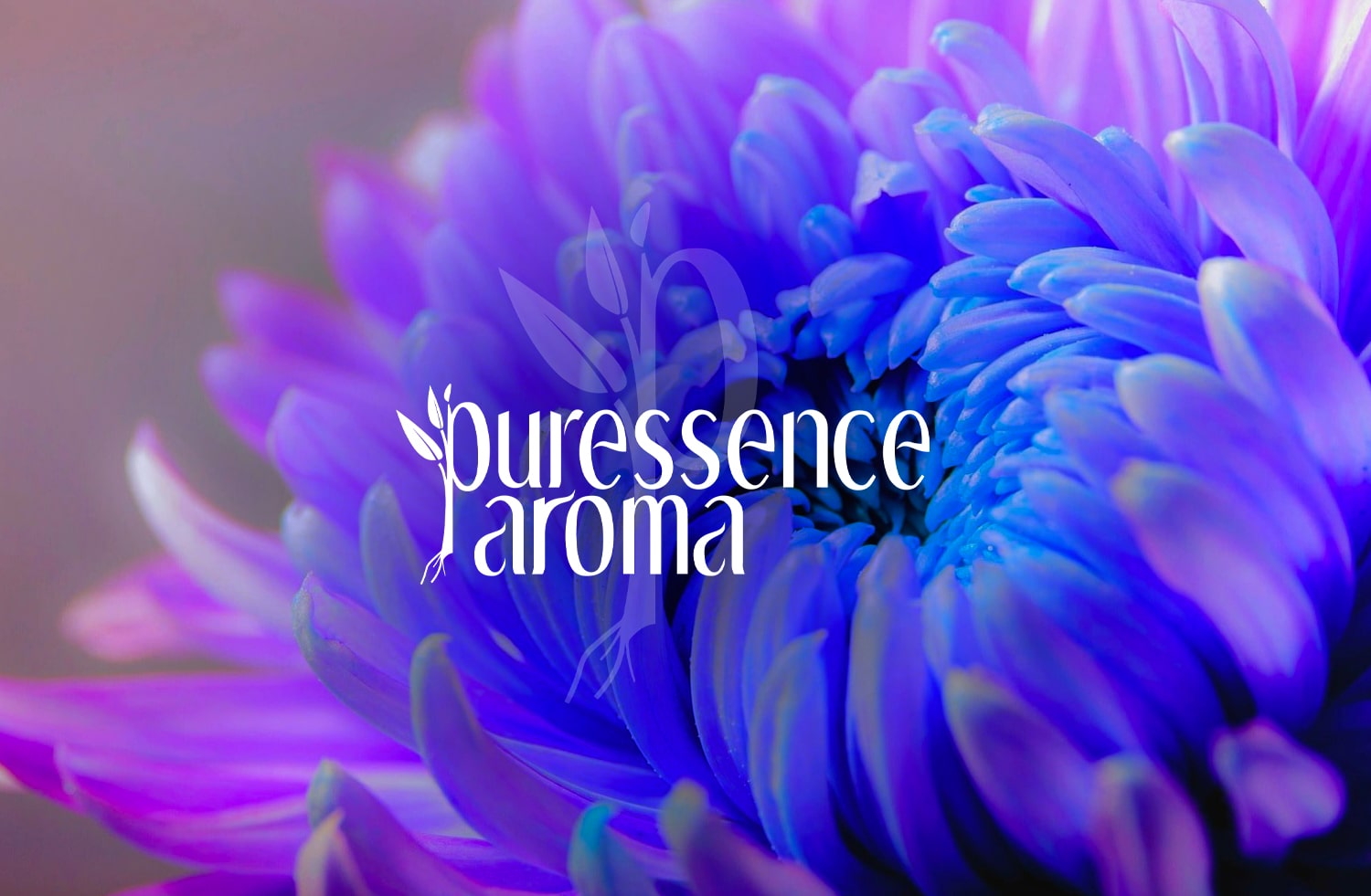 www.puressence-aroma.fr